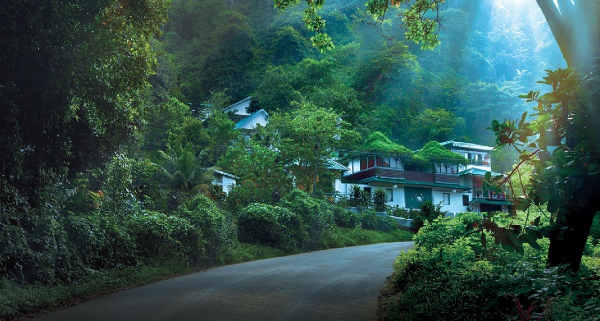 Bellavista Resort Munnar Extérieur photo