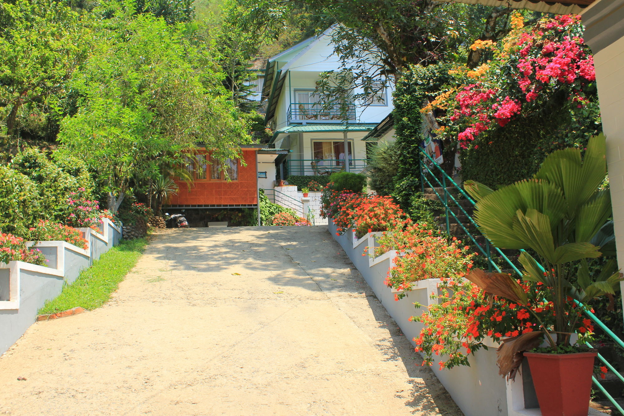 Bellavista Resort Munnar Extérieur photo